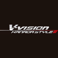 V-VISION